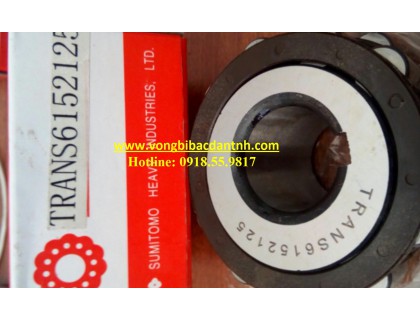 VÒNG BI RANS6152125